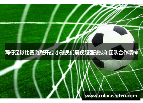 鸡仔足球比赛激烈开战 小球员们展现超强球技和团队合作精神